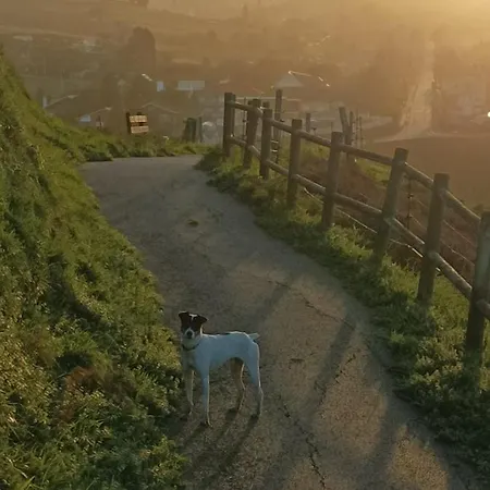 Prázdninový dům La Carinosa Naveces