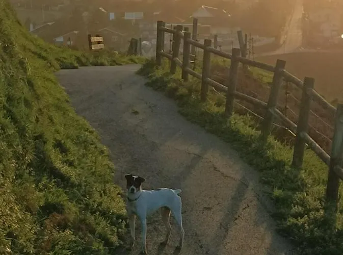 בית נופש La Carinosa Naveces